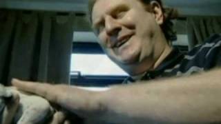 Spotlight On Dalmatian Pups