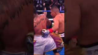 Pitbull Cruz vs Gervonta Davis