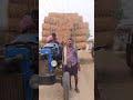 13 APR 25 100 GRASS BUNDLES PURCHASED FROM MADHU YADAV MIRIAM CHAKICHERLA FOR ChAKICHERLA GOSHALA