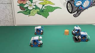 ポメラニアンズ カムロボダンスコンテスト作品 ポメラニアンダンス