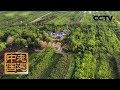 《走遍中国》系列片《天山脚下筑粮仓》 昌吉市人是如何将戈壁变绿洲的呢？20190819| CCTV中文国际