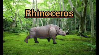 Wild Animals By Little Learning Hub