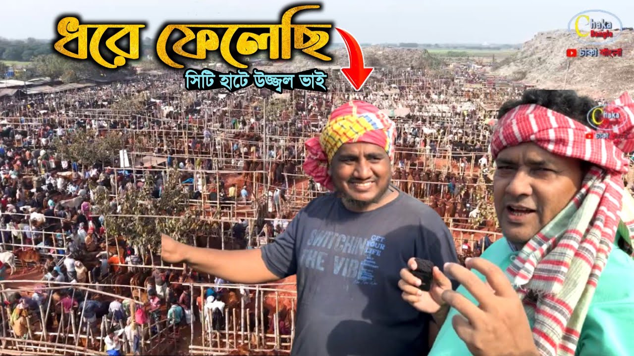 সিটি হাটে 'কম দামে উজ্জ্বল ভাইয়ের গরু কেনার টেকনিক ধরে ফেলেছি'  Rajshahi City haat 2026