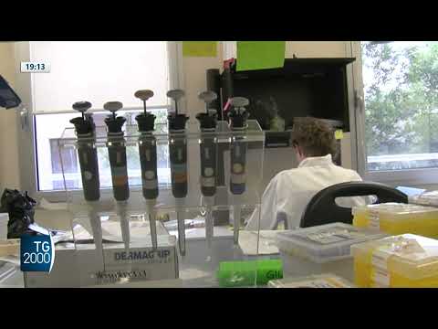 Video Aifa lancia guida per evitare truffe mediche online