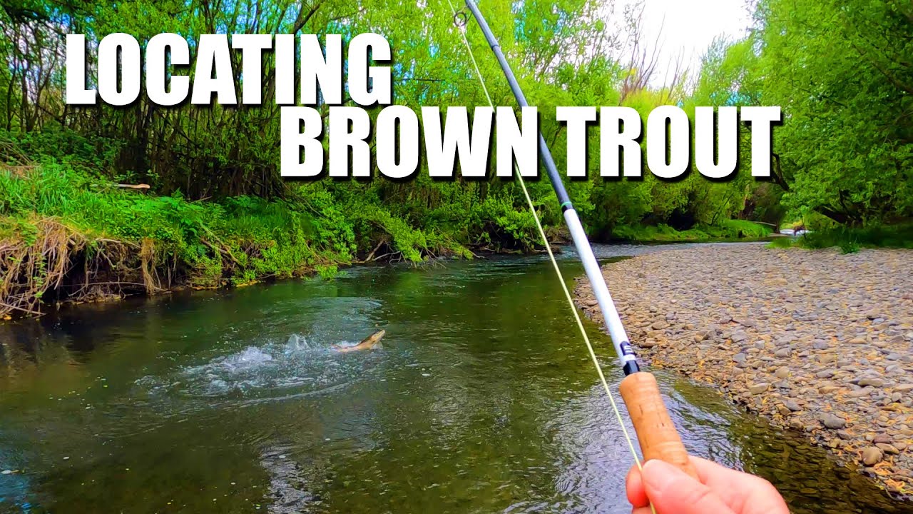 18 of the Best Trout Streams in America