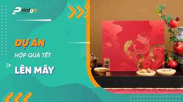 SẢN XUẤT HỘP QUÀ TẾT LÊN MÂY CHÀO XUÂN ẤT TỴ