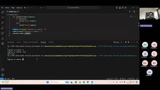 Curso de programación con Python - Clase virtual (15-05-2024 11 hs.) Net Worth