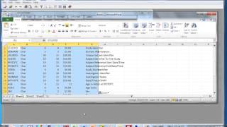 Viewing SAS Dataset Attributes in EG versus System Viewer with Sy Truong