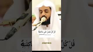 syekh Al Kurdi #imammerdu #ayatayatalquran #kalamullah