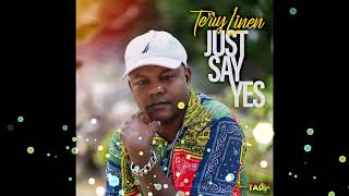 Terry Linen - Just Say Yes | Audio Visualizer