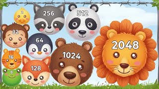 Animal Merge 2048 🦁 | Relaxing Level Up Animals Balls | Satisfying ASMR Gameplay (Android/iOS)