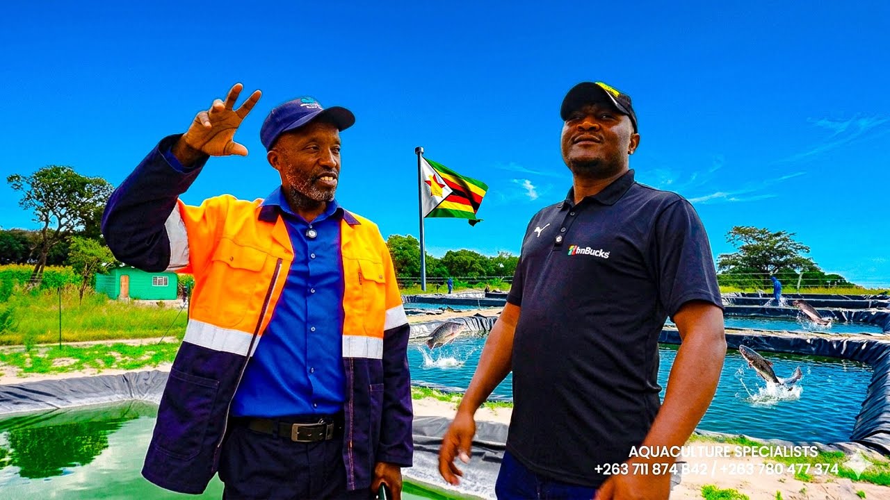 They’re in UK, This is How They Are Starting Projects Without Owning Land