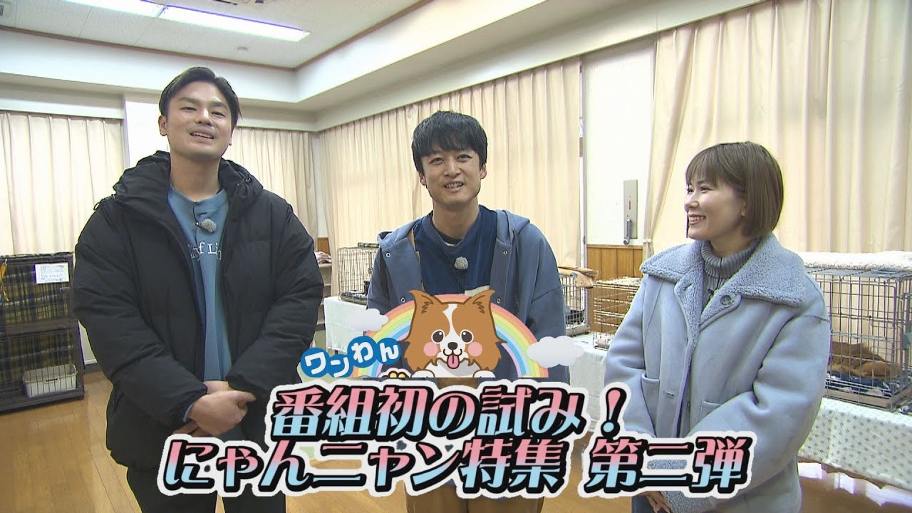 第180回 番組初の試み! にゃんニャン特集第二弾 - ワンちゃんの飼い主