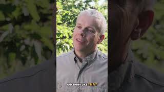 Defeating bacterial canker in cherries using nutrition