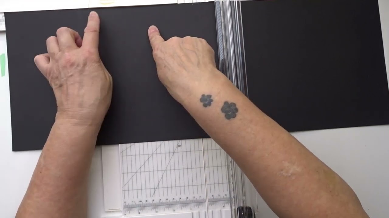 Folio album deel 1 ( papier action )