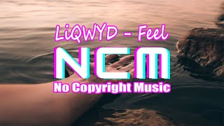 Download Lagu LiQWYD - Feel  (No Copyright Music) MP3