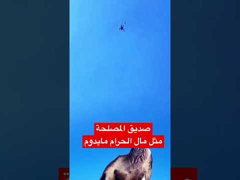 صديق المصلحة 