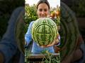 What fruit or shape next? #ai #foryou #xyzbca #gardening #trending