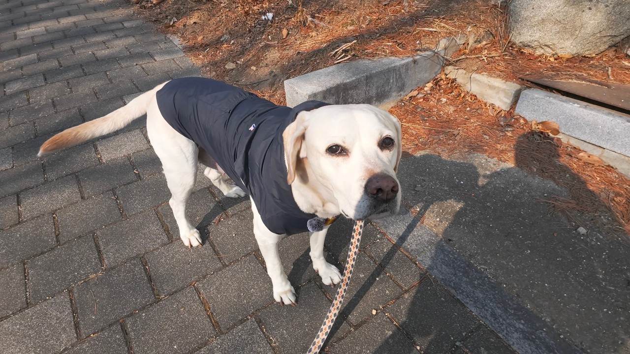 공이공이산책log