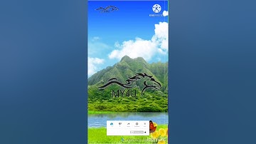 سورة الروم الشيخ فارس عباد صوت من السماء