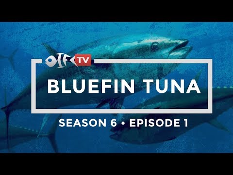 2019-season-6-bluefin-tuna-episode-1-of-2