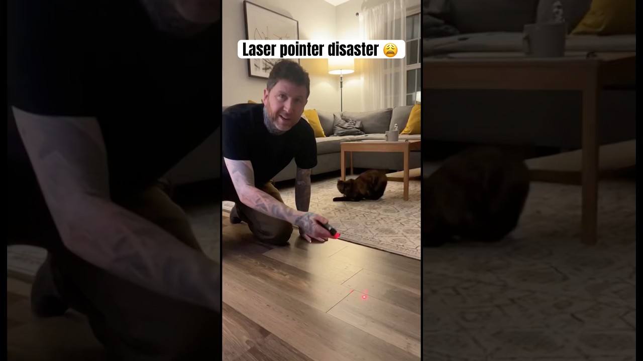 Cat laser pointer disaster 😮 