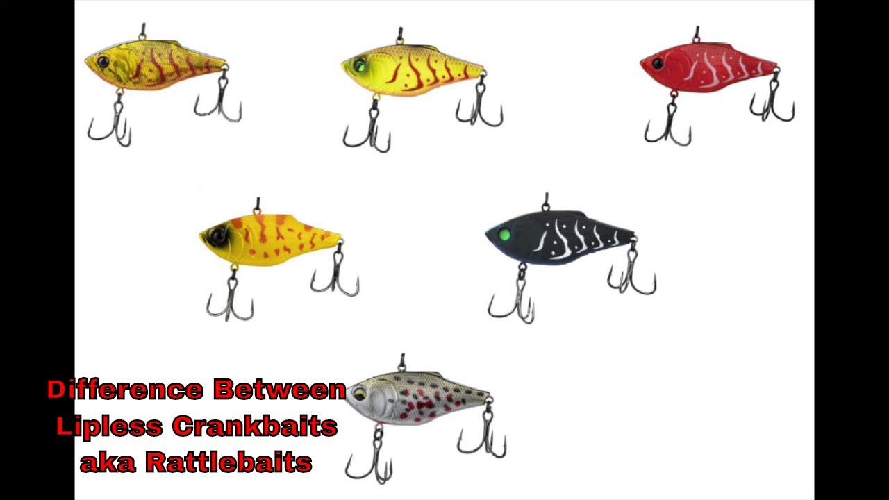 Differences Between Lipless Crankbaits aka Rattlebaits For Bass Fishing