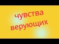 Израиль и оскорбления чувств верующих. Или почему религиозных защищает суд а не Бог?