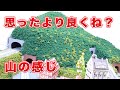 鉄道模型『レイアウトの山を少し直します②』ジオラマ･Nゲージ