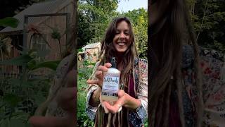 Cleansing Spray for Dreadlocks!