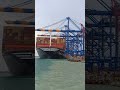 MSC Cantianer Ship 🚢🚢🚢🚢🚢 Tamil Nadu South Indian In Kerela 399.99 MTR