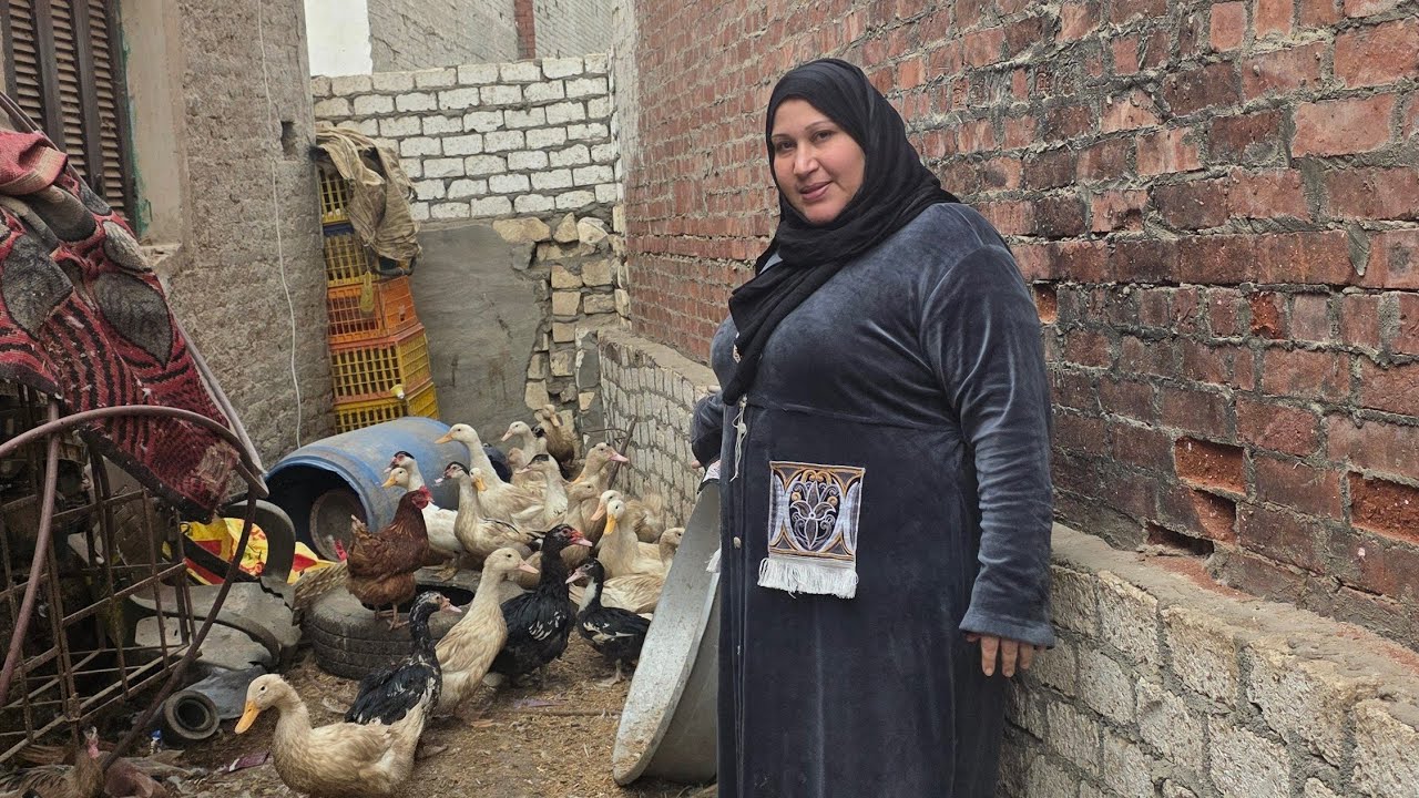 نزلت السوق انهاردة واتصدمت من الاسعار تعالوا ااقولكم على اكله متتعملش الا فى الشرقية