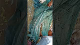 Jwngni Youte Ni Hakhorni Nakhwo Bwkhangbai Naidw Lwgwfwr Ma Bade Na Dg Nwgthangmwna