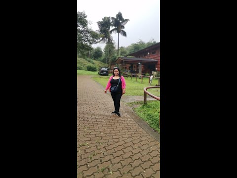 Entrance of kamay ni hesus