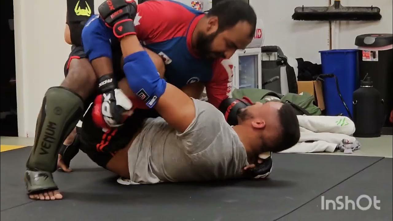 Working Elbows and Ground and Pound in Friday Beginner MMA! YouTube