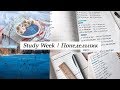 Study Week| Понедельник| Study With Me| Учись со мной| Study Vlog| Продуктивность