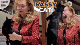 Black cat lashes out at judge! | LOVE THIS!