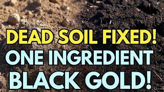 Revive Dead Soil Fast With One Secret Ingredient Turn Dust Into Black, Fertile Ground
