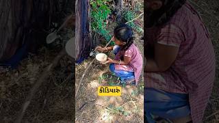 કીડિયારું#સેવા#mini vlog#chaitr mas