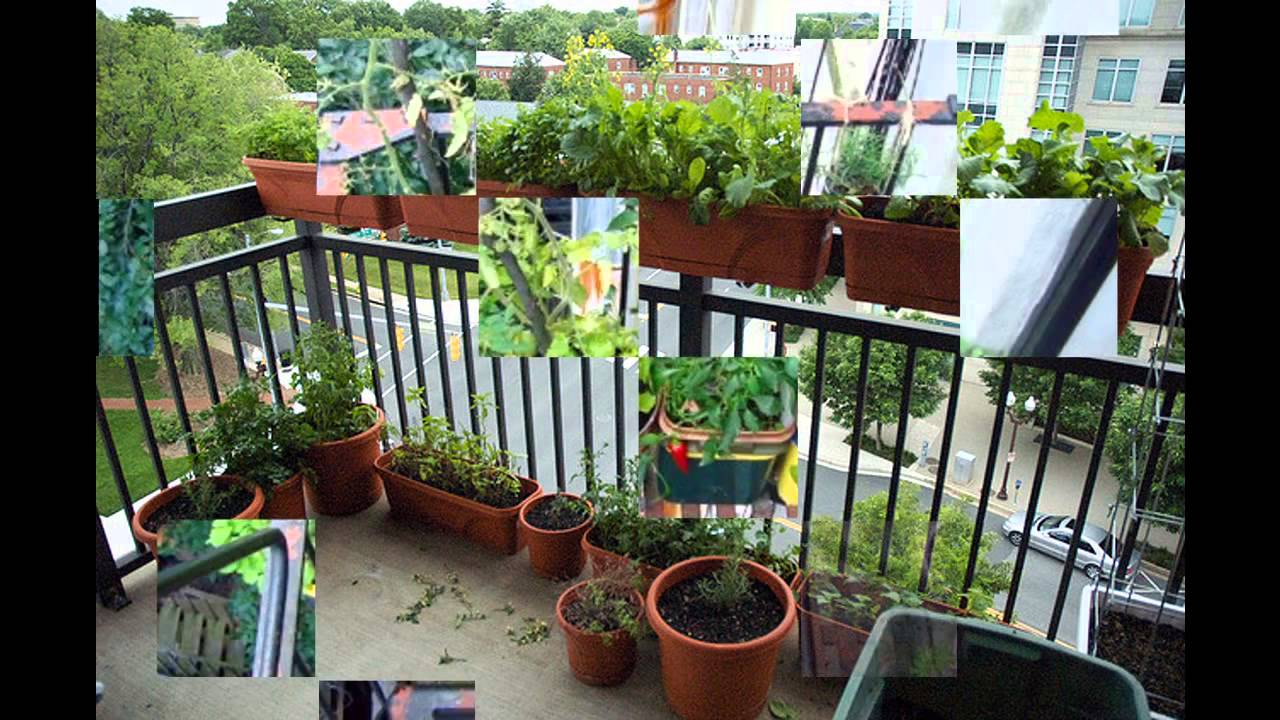 [Garden Ideas] kitchen garden in apartment