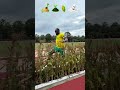 I Raced The Fastest Man On Earth