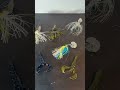 Fall chatterbait bass fishing #bassfishing #fishing #riverfishing #viral