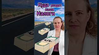 Куда идут налоги: в какой бюджет зачисляется НДФЛ 13 процентов #налоги #ндфл #подоходныйналог