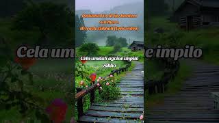 Izikhali dance amapianotv dancemoves 3steps amapianodancechallenge amapianodance dancestyles