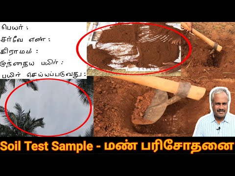 Soil Test Sample Procedure l மண் பரிசோதனை மாதிரி எடுக்கும் முறை | Mann Parisodhanai