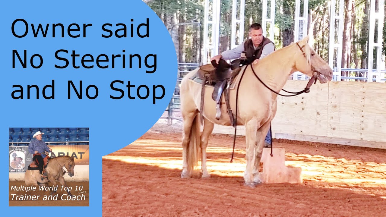 Владелец говорит, что остановки и ограничения скорости запрещены.