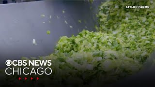 FDA still looking at Taylor Farms as source of cyclospora outbreak Update