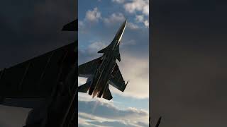DCS: Su-33 Aborts Landing