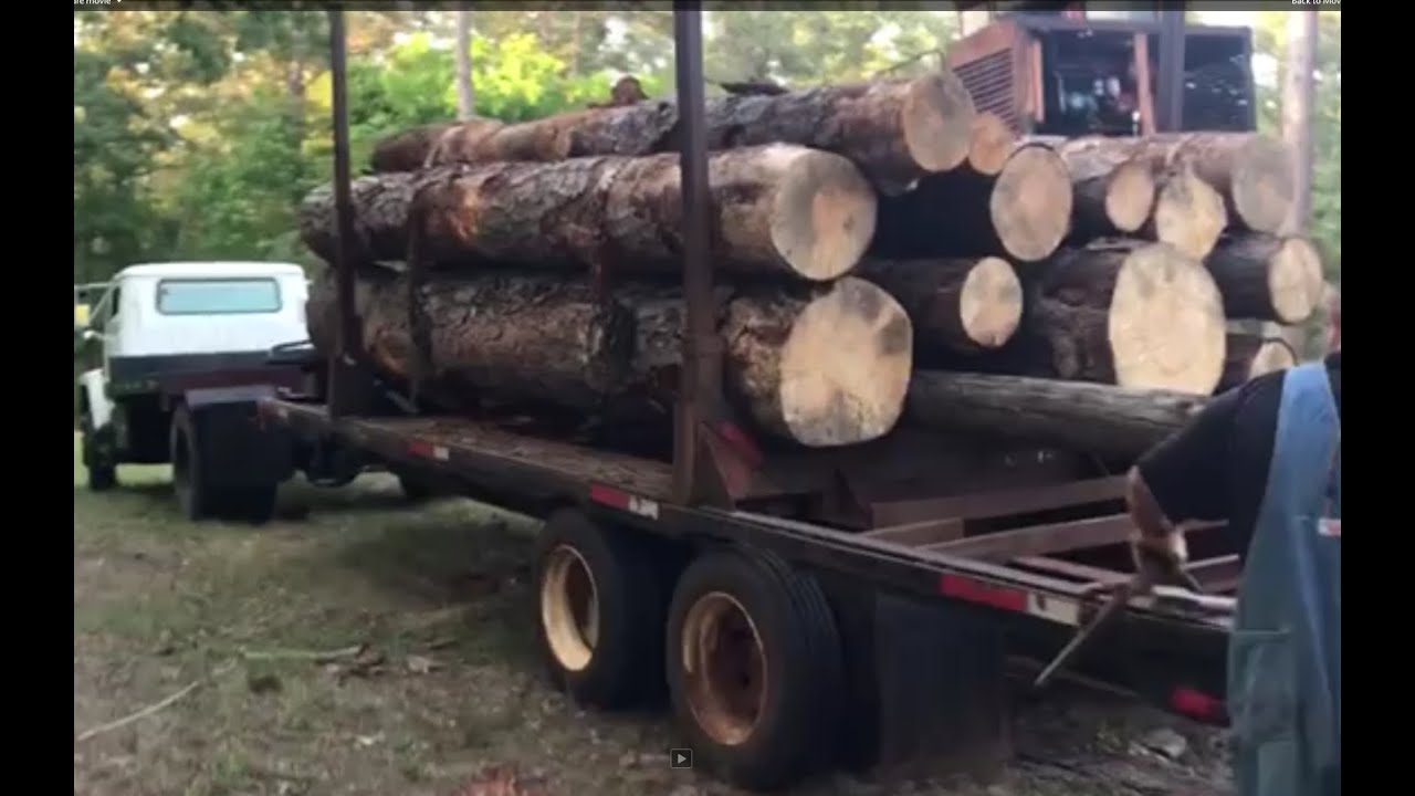 Dead Tree Removal - YouTube