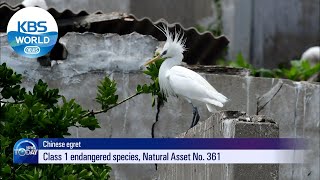 PARK BEOM-KYE's trial (News Today) l KBS WORLD TV 210527